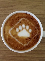 Today's latte, SmartBear.