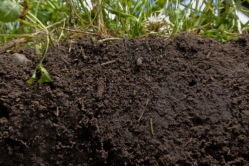 See what healthy soil looks like