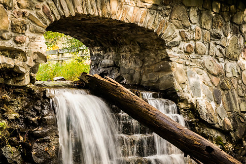 new york bridge tree water stone waterfall log nikon f28 d3100