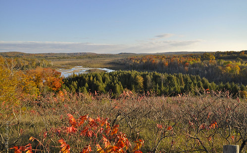 autumn trees ontario nature colors landscape lindsay wetlands fallcolours windyridgeconservationarea