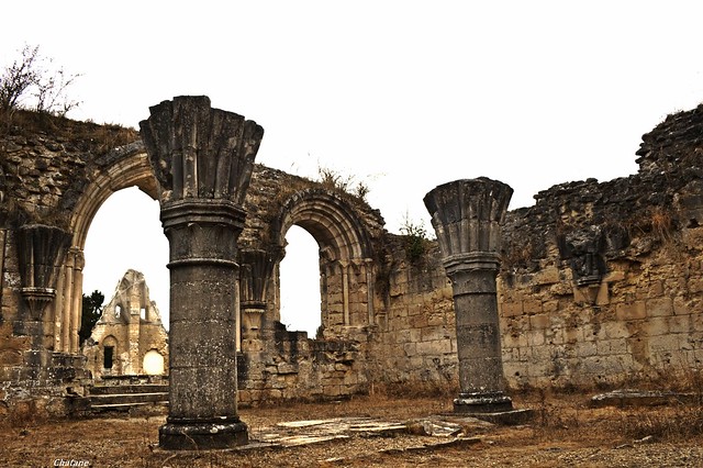 Ruines Abbaye de Vauclair construite en 1134