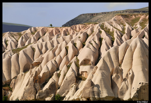 Cappadocia: A lone tree on a ridge