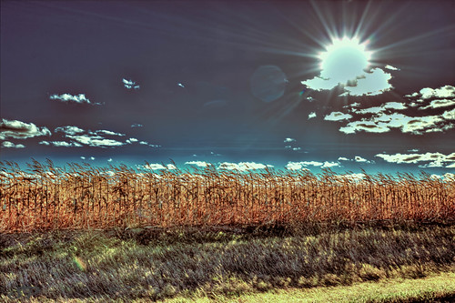 Windy Day by SPP - Photography, minnesota spp sppphotography