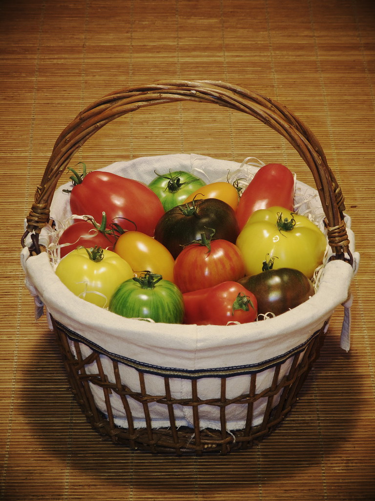 Panier de tomates