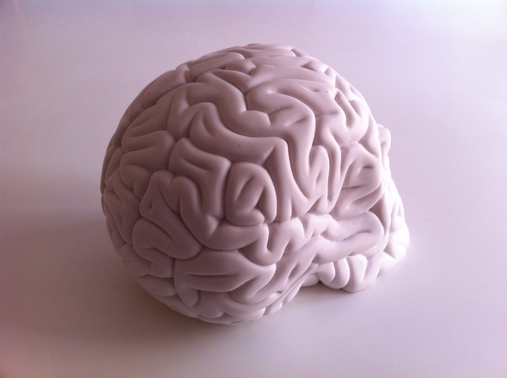 Skull Brain making off by Emilio Garcia | Skull Brain protot… | Flickr