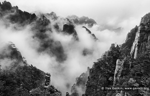 Huangshan Mountains in Clouds, Cloud-dispelling Pavilion, Xihai (West Sea) Grand Canyon, Baiyun Scenic Area, Huangshan (Yellow Mountains), China