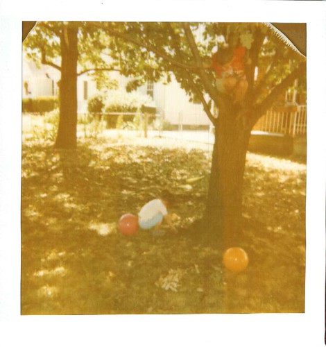 Family Tree | by Josh Friedrich