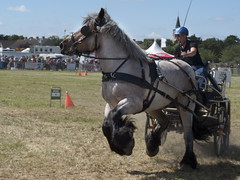 Power Horse Competition 2016