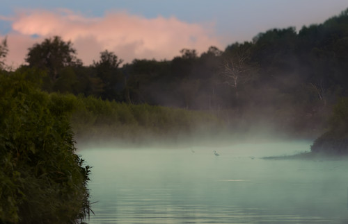 morning mist heron nature water birds creek sunrise indiana egret millcreek cataractfalls