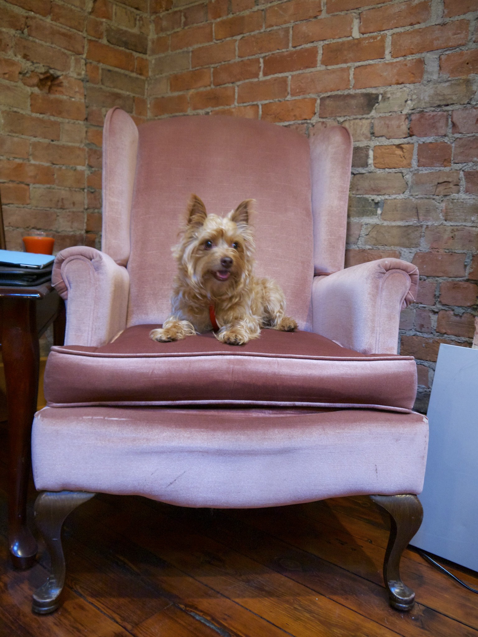 King Sam
