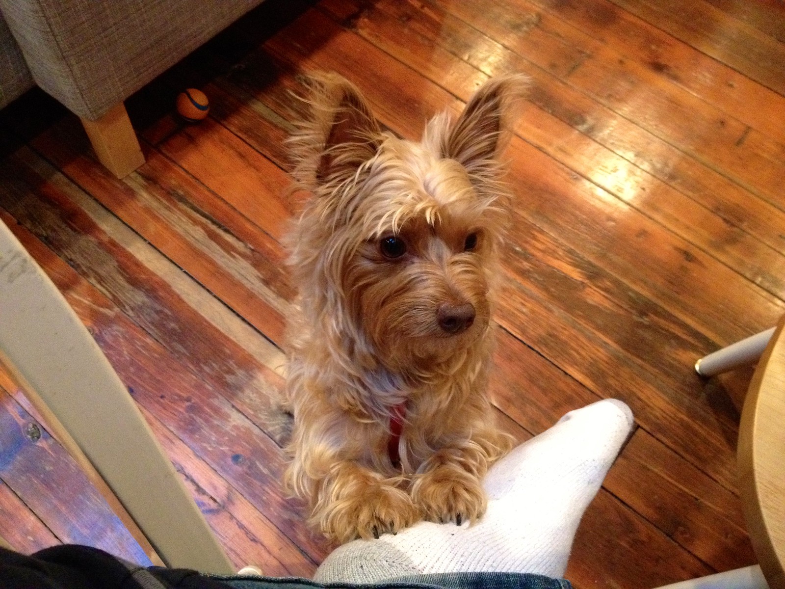 Sam