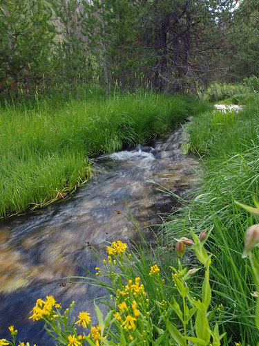 Mountain Stream | by NirupamNigam