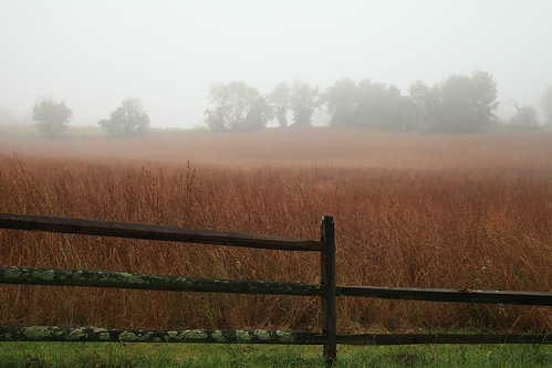 fog 2 | by Benjamin F. Weaver
