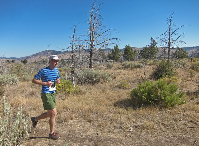 Striped Shirt - Moore Mountain Half Marathon and 5K