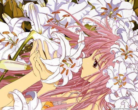 Download Kobato Clamp 2193761 576 460 Monopokotendo Flickr Desktop Wallpaper Free Wallpaper Kobato Clamp 2193761 576 460 Monopokotendo Flickr For Free