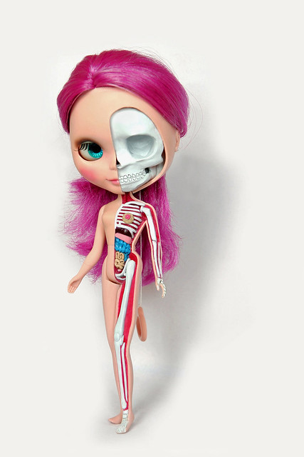 Blythe Doll Anatomy
