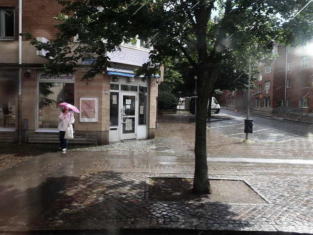 Rain thru the tram window