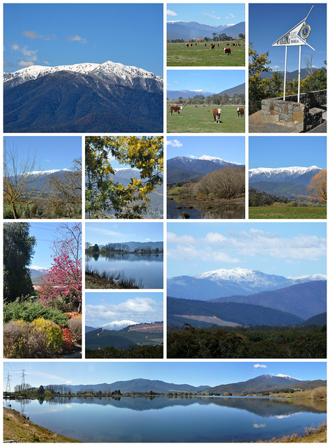 Mount Beauty Collage