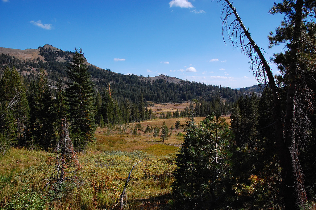 Warren Lake Trail