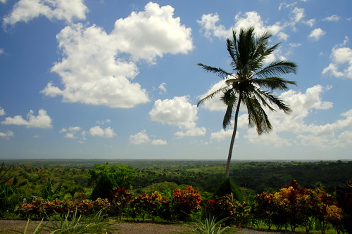vacation sky countryside dominicanrepublic palmtree