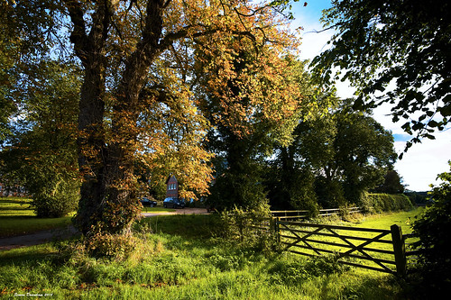 blue autumn trees red england sky orange brown tree green english fall field sunshine yellow rural fence countryside bush october gate view rustic meadow scene hampshire fields 2012 basingstoke summerdown malshanger earlyoctober ploghed hooklane 19adcddcm3x