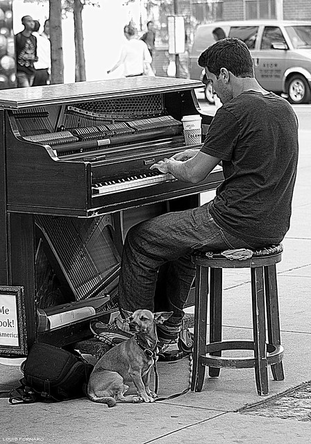Piano Man & His Dog
