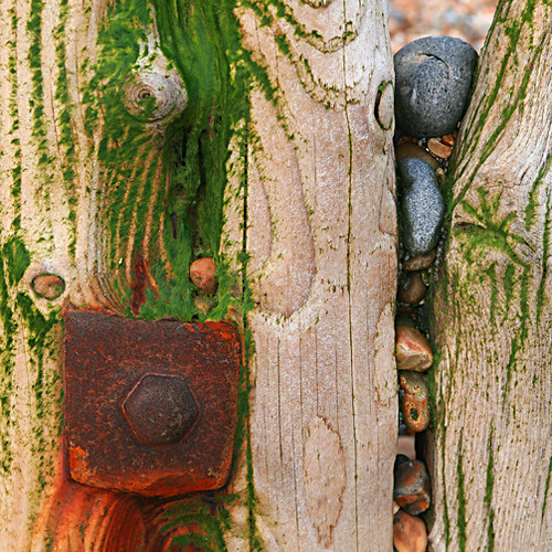 Embedded | by WHO 2003