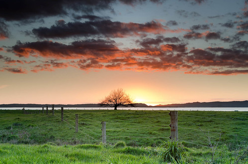 sunset newzealand colour tree clouds fence nikon auckland northisland karaka 18200mm leefilters manukauharbour d7000 lee06gnd lee12gndsoft