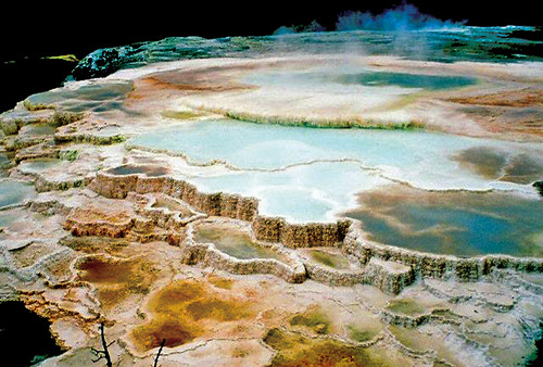 Yellowstone's Mammoth Hot Springs by: William Waterway | by William Waterway