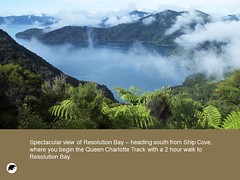 Tigers Den Luxury Accommodation and Guest Lodge 28 Vacation in New Zealand