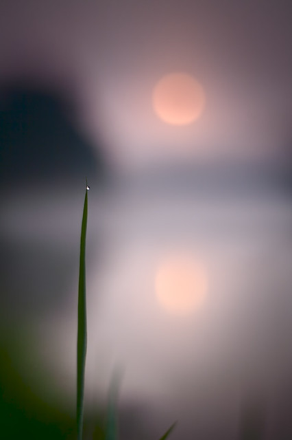 06:13,  drop of dew on a blade of grass at dawn