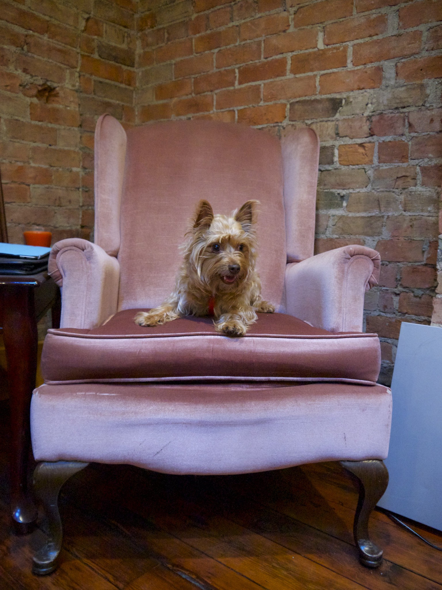 King Sam