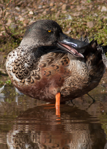 Working the Camera | by Richard C Bailey