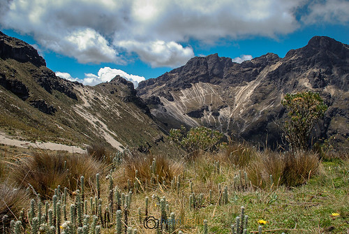 andes equateur guaguapichincha rucupichincha volcan montagne paysage amériquedusud