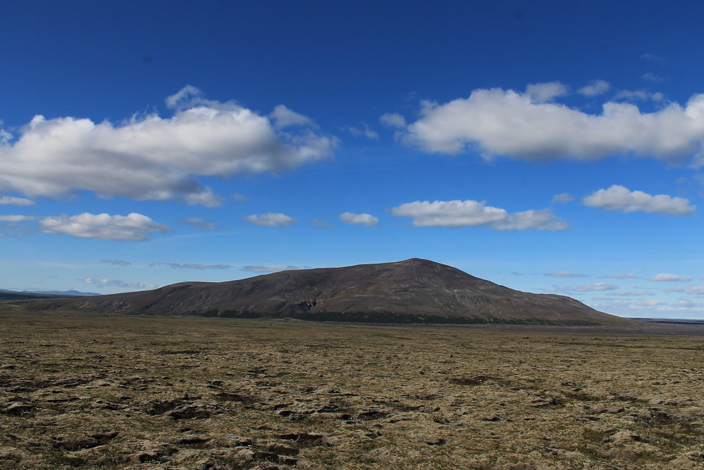 Strútur Strútur | Þórunn Reykdal | Flickr