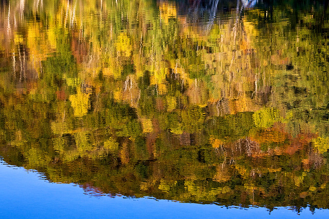 Metcalf Pond Reflection