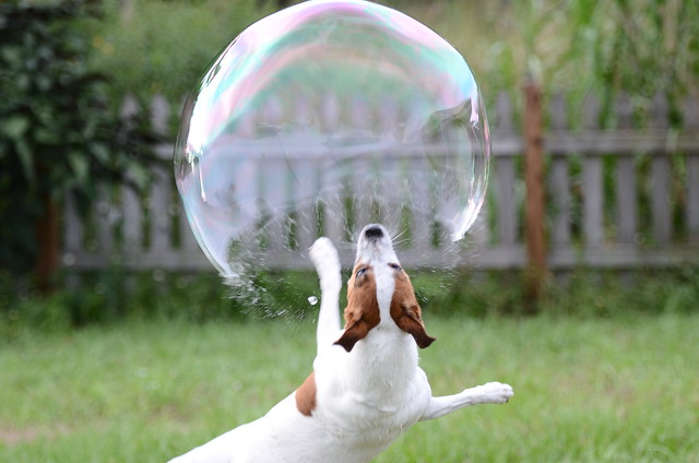 Breaking The Bubble