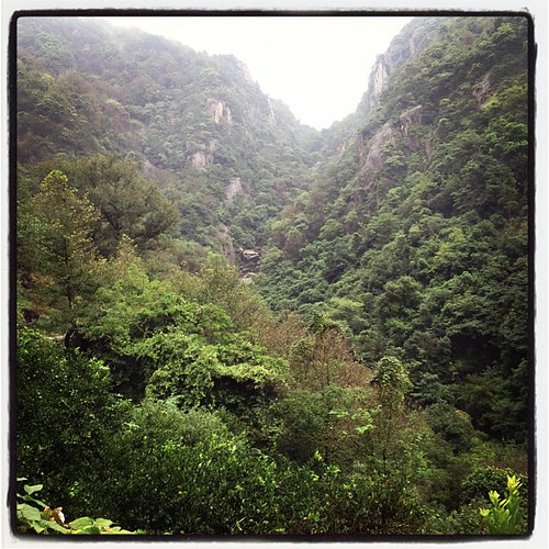 Hiking 茶山 by ken.larmon, china nature square lofi squareformat 中国 wenzhou zhejiang 浙江 温州 浙江省 chashan iphoneography kenlarmon