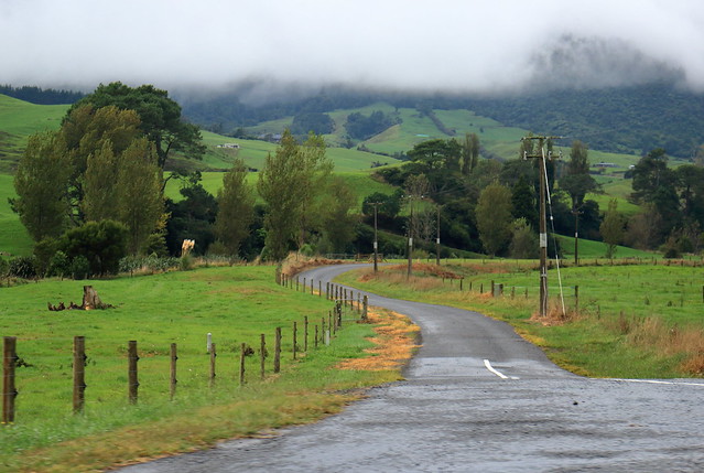 Narrow country road.  Waikato NZ. 