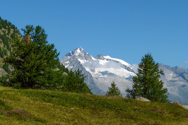 Aletschhorn (4.193 m)