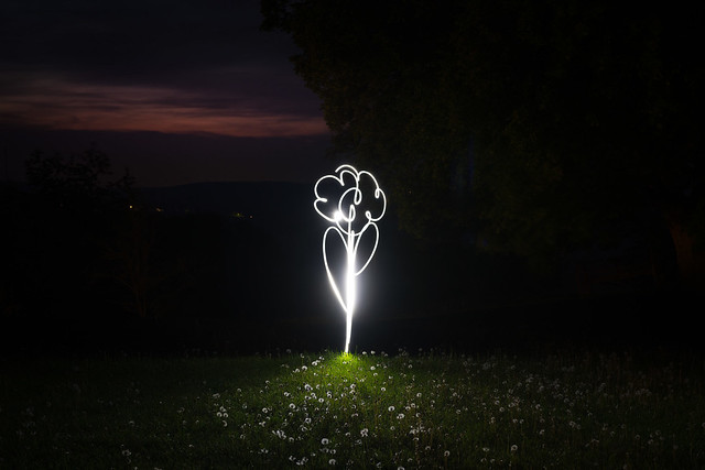 Lightpainting - Blume