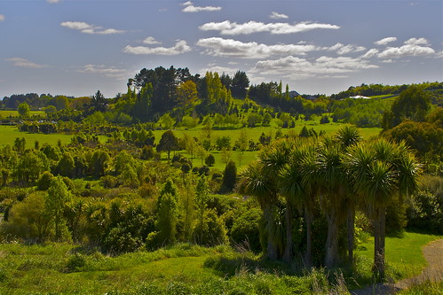 park blue newzealand christchurch sky green canon landscape canterbury halswellquarrypark