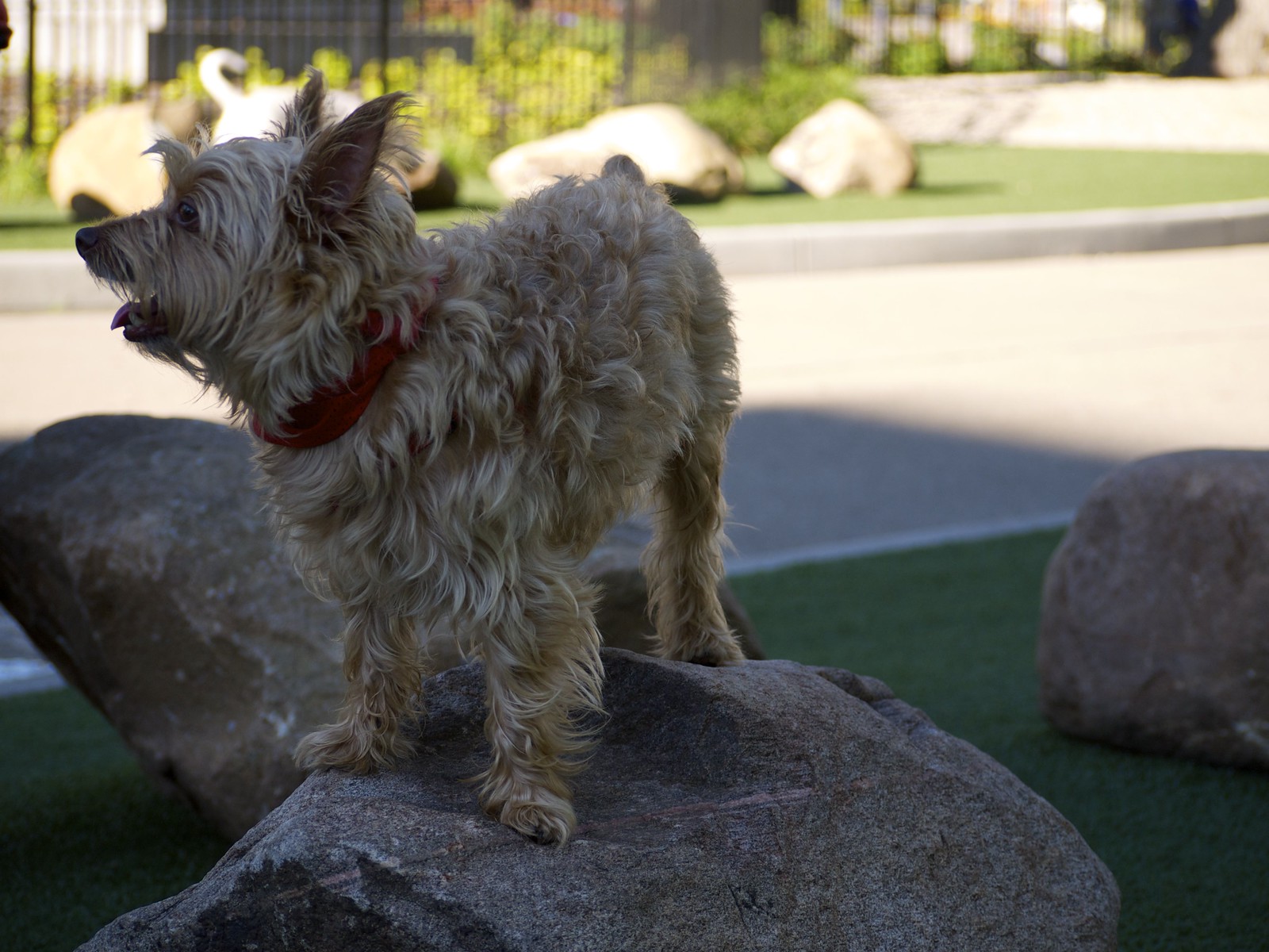 Washington Park