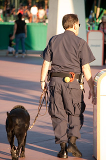 Disney Security is going to the dogs | We noticed the securi… | Flickr