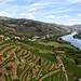Vallee du Douro (Portugal)
