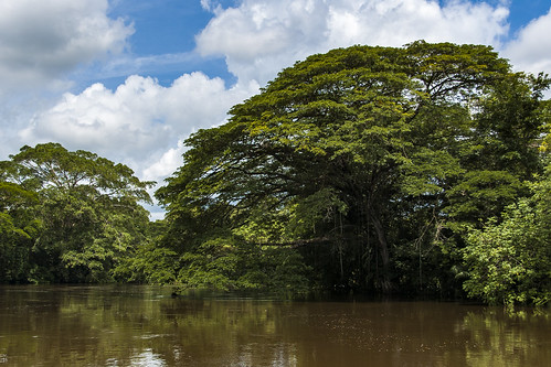 estiu riu river núvols summer aigua paisatge arbres landscape jungle naturalesa nature natura clouds costarica cañonegro