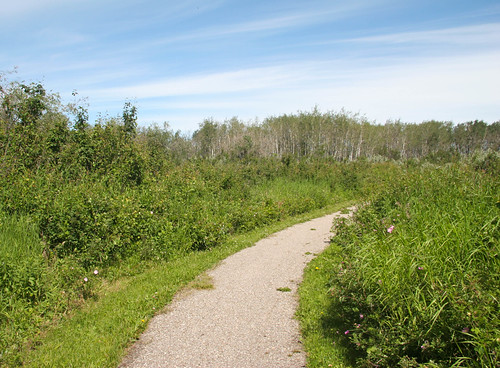 Sasktoon Island PP - Trail