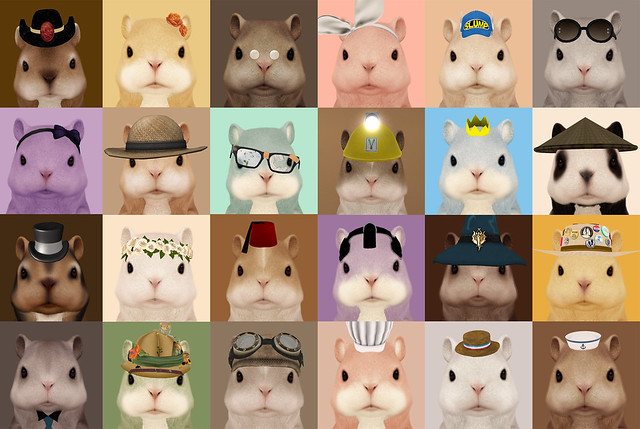 Portraits of The Great Hamster Family