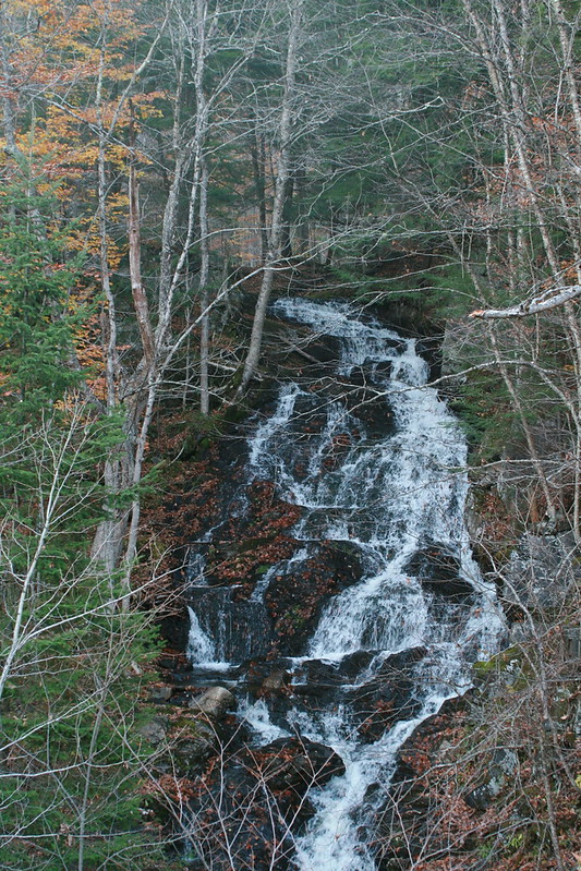 Woodbury, along the trail