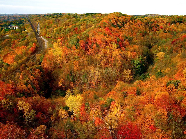 Autumn splendour in Dundas, Ontario
